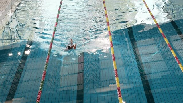 Male swimmer in action at the indoor pool during a freestyle swimming training, high angle shot. Sport, persistence, and effort concept.