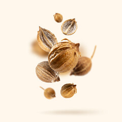 Falling Organic dried coriander seeds float on a beige background. Floating in the air food Creative concept. Spicy and Fragrant Seasoning. Flying set of spices. Modern Macro photo