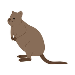 quokka  single 1 PNG