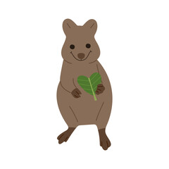 quokka  single 3 PNG