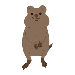 quokka  single 7 cute on white background, vector illustration. 