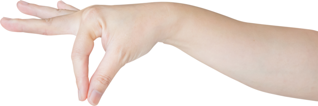 Woman hand gesture holding something isolated on white background