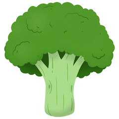 broccoli illustration