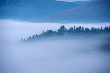 fog in the mountains