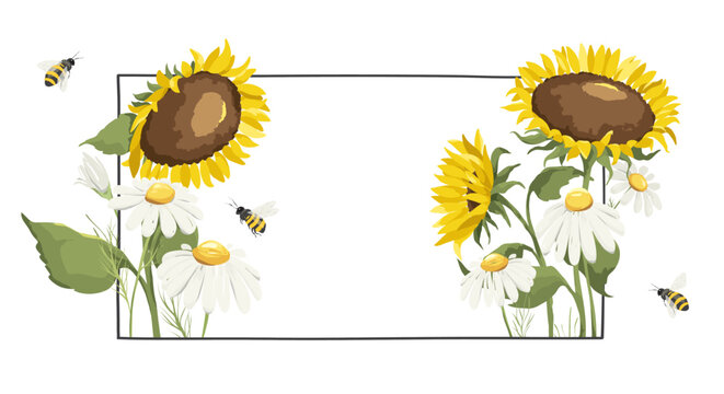 Banner with summer flowers. Birthday, Wedding or harvest festival illustration. Vector frame with sunflowers and chamomiles, flower meadow. EPS 10.