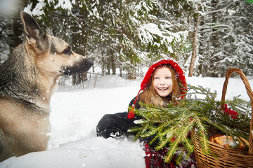 Cute little girl in red cap or hat and black coat with basket of green fir branches in snow forest...
