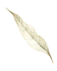 Fototapeta na wymiar Autumn leaf. Watercolor illustration.