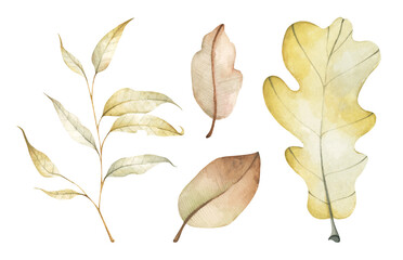 Collection of multicolored fallen autumn leaves. Isolated on white background. Watercolor illustration.