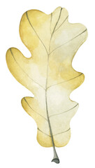 Obraz premium Autumn leaf. Watercolor illustration.