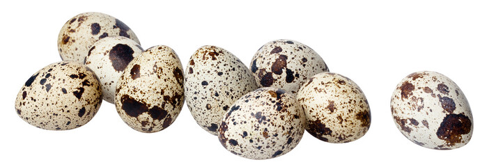 Delicious quail eggs cut out