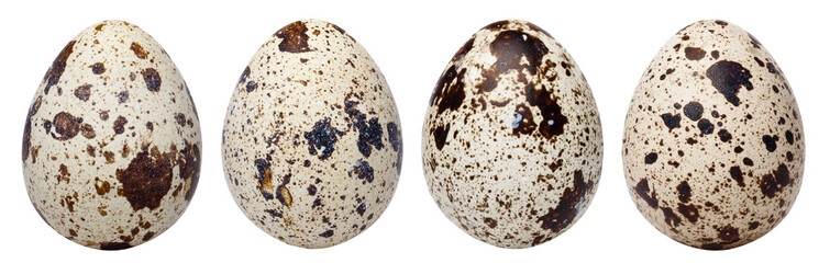 Set of delicious quail eggs cut out