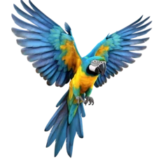 Foto op Plexiglas parrot © Panaphat