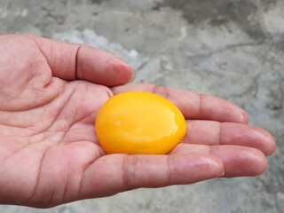 Woman hand holding egg yolk after separating from the white over grey cement background. Ingredient for cooking food. Close up view.