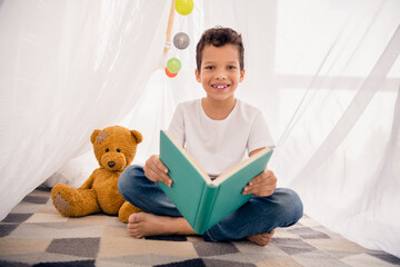 Portrait of nice cheerful cute little boy build camping tent read book wear white shirt light...