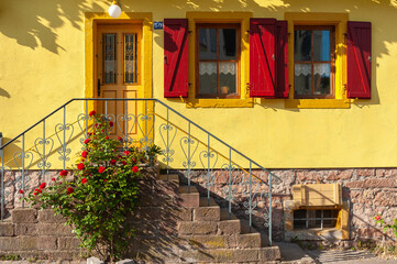 Fototapete bei efototapeten.de bestellen   