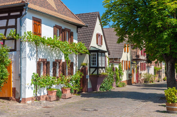 Typische Bebauung in der historischen Theresienstraße in Rhodt unter Rierburg. Region Pfalz im...