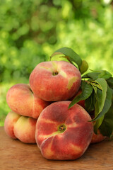 Paraguayos. Peach variety.