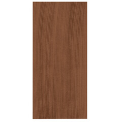 wooden board isolated on white background