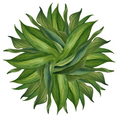 Watercolor illustration of a composition of green branches with leaves for wedding, birthday, greeting card, menu, banner, border, stickers.