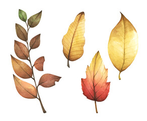Collection of multicolored fallen autumn leaves. Isolated on white background. Watercolor illustration.