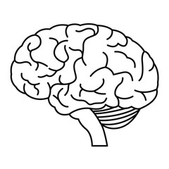 Minimal black and white brain icon in profile. Black line drawing. Vector illustration