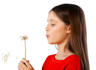 Young girl holding a dandelion blowball