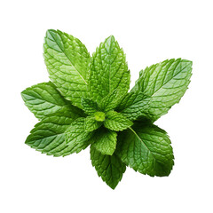 Fresh Mint leaf, Mint leaves isolated created with Generative AI