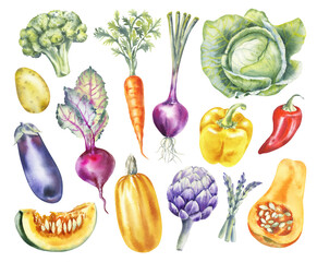 Watercolor vegetables illustration set: broccoli, eggplant, potato, cabbage, pepper, pumpkin, artichoke, asparagus. Farm Healthy Food, Vegan