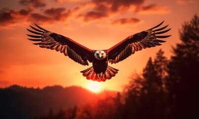 Bald Eagle Flying on Sunset Background. Generative Ai
