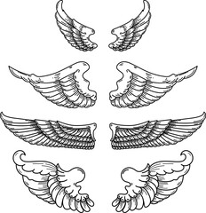 Set of  illustration of a pair of wings in black and white,  done in a tattoo-style. Angel wings. illustration of bird wings.