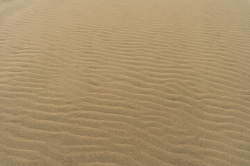 Sand dunes background texture, camel color.