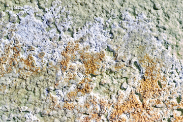 Dirty plastered wall with layers of paint, fungus and mold