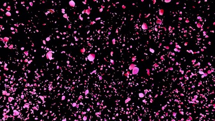 Falling rose petals animation petals flowers Rose petals fall looping 3d animation