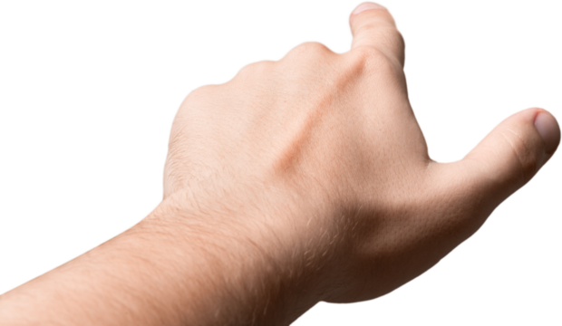 Pointing Finger, Back View