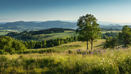 View from Poręba Mountain (671m) at Kaczawskie Mountains, Rodawy Janowickie and Giant Mountains, Lower Silesia, Poland