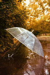 autumn background. transparent umbrella in puddle outdoor, natural abstract backdrop. symbol of rainy season, bad wet stormy weather.  fall time. melancholy mood. template for design.