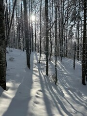 Winterspaziergang 2