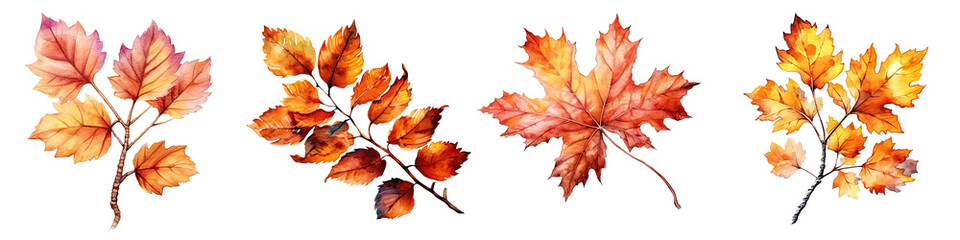 Naklejka na ściany i meble Watercolor illustration autumn leaves transparent background, PNG