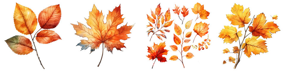 Naklejka na ściany i meble Watercolor illustration autumn leaves transparent background, PNG