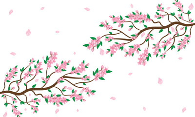 Sakura cherry blossom branch. Isolated flying realistic Japanese pink cherry or apricot floral elements fall down vector background. Cherry blossom branch illustration