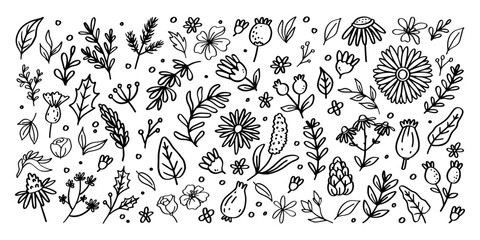 Big set of spring floral hand drawn illustration