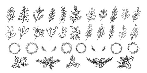 Set of Christmas floral hand drawn element