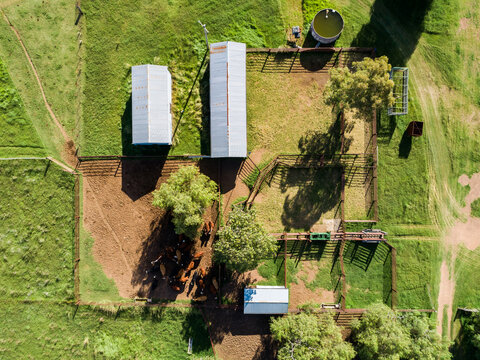 Australian cattle yards seen in overhead top down aerial view on farm with sheds
