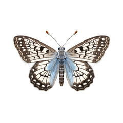 Checkered skipper butterfly -  Pyrgus communis. Transparent PNG. Generative AI