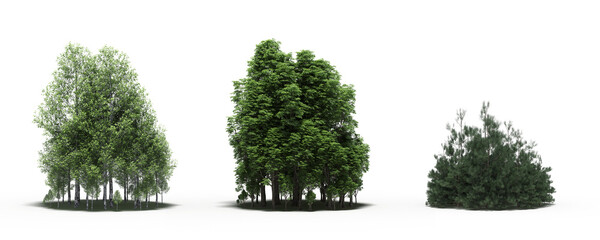 group of trees with a shadow on the ground, isolated on a transparent background, trees in the forest, 3D illustration, cg render