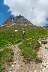 Obraz premium Frau unterwegs durch wunderschöne blumenübersäte Bergwiese mit orange-gelber Arnika und vielen anderen Blumen. Der Wanderer geht den kurvenreichen Fußweg ins Tal hinunter, wunderschöne Alpenlandschaft