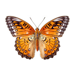 Great spangled fritillary butterfly -  Speyeria cybele. Transparent PNG. Generative AI