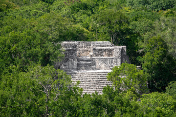 Fototapeta na wymiar Calakmul - Archeological site and pyramids