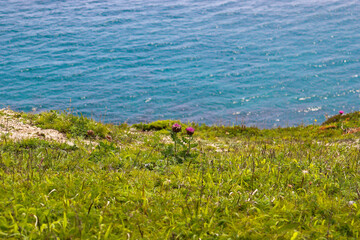 Selective focus. Tourism. Trips. Camping.