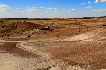 Rugged and Desolate Landscape Petrified Forest Arizona